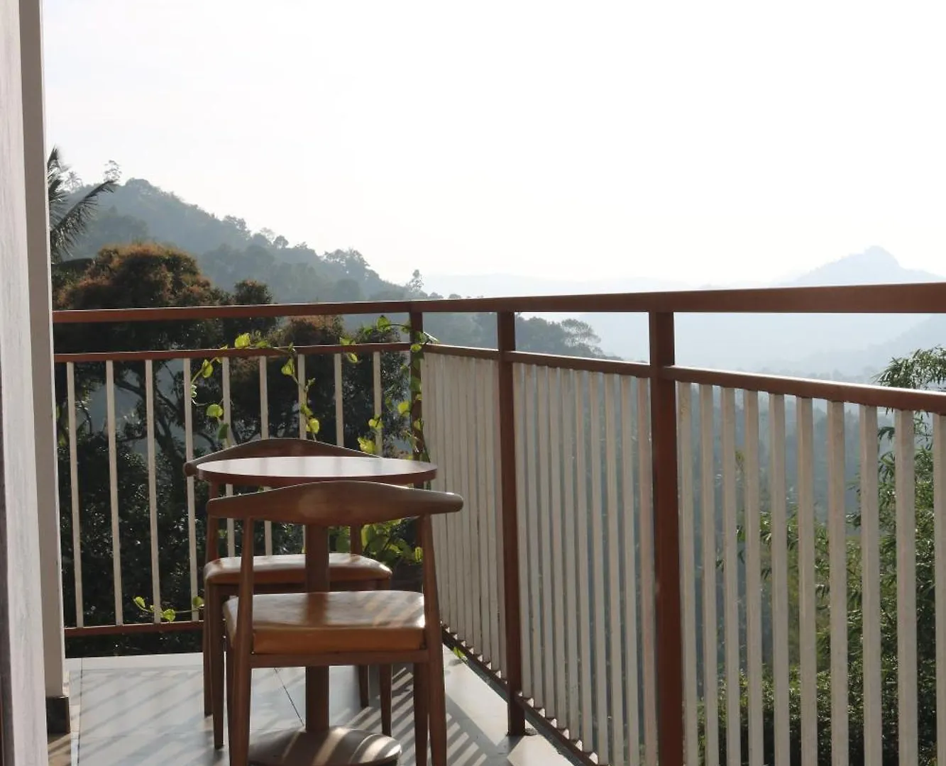 Asprin Homestay Munnar